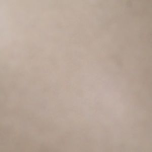 Meet your Posher, Gianah